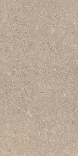 Heritage BEIGE 60X120 R10 RT