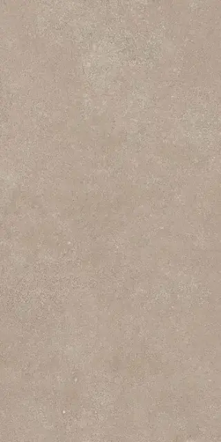 Geo WALNUT 30X60 R11 RT