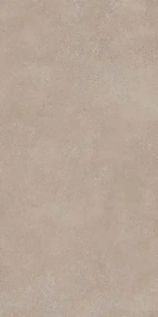 Geo WALNUT 60X120 R10 RT