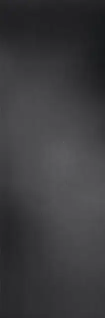 Filo Pece 100х300 3+