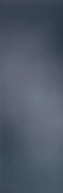 Filo Mercurio 100х300 3+