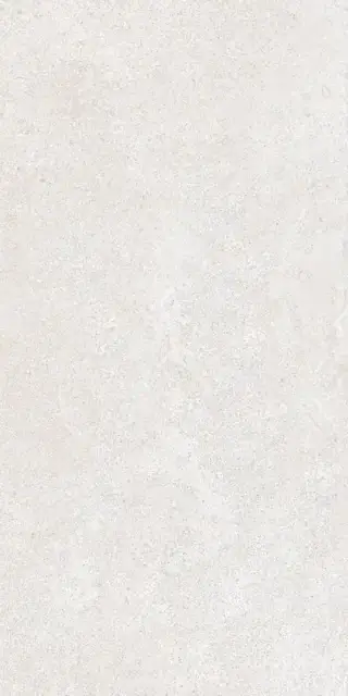 Brystone WHITE 60X120 R9 RT