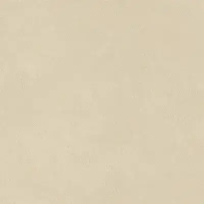 Boost Natural Pro Oat 80x80