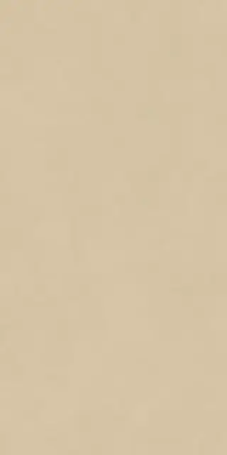 Boost Natural Pro Sand 60x120