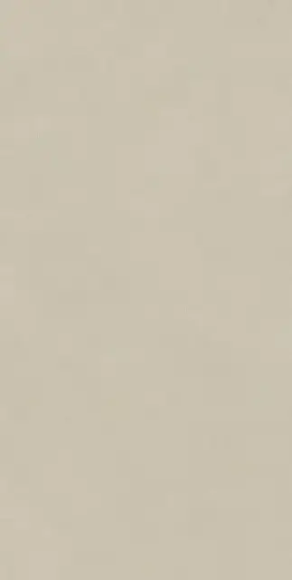 Boost Natural Pro Cinder 60x120