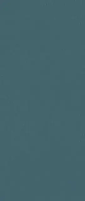 Boost Color Navy Frog 50x120