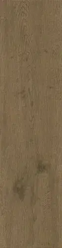Entice Browned Oak Natural 30x120 20mm
