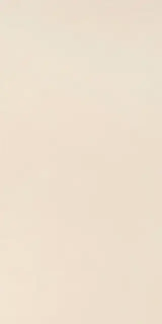 Elements Design IVORY 30X60 RT