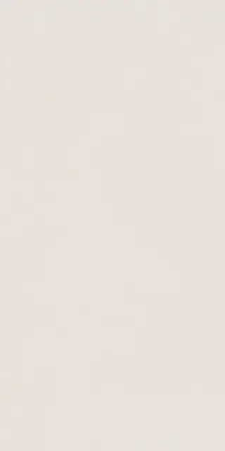 Elements Design WHITE 30X60 RT