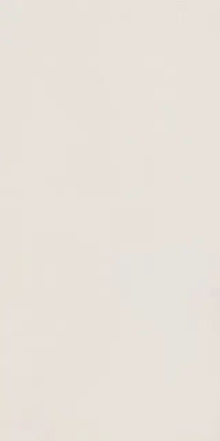 Elements Design WHITE 60X120 R10 RT