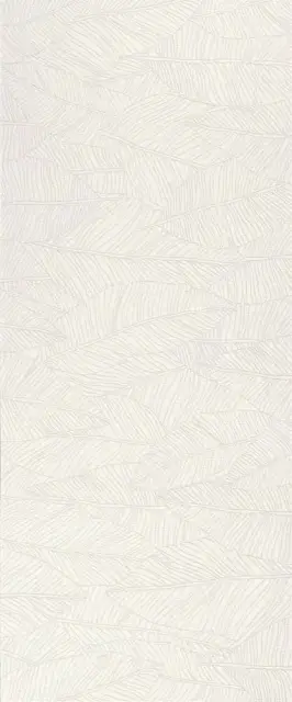 Aplomb White Leaf 50x120