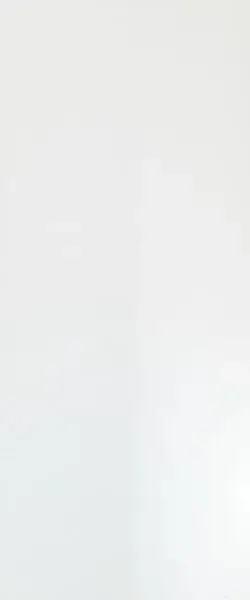 Solid White Glossy 50x120