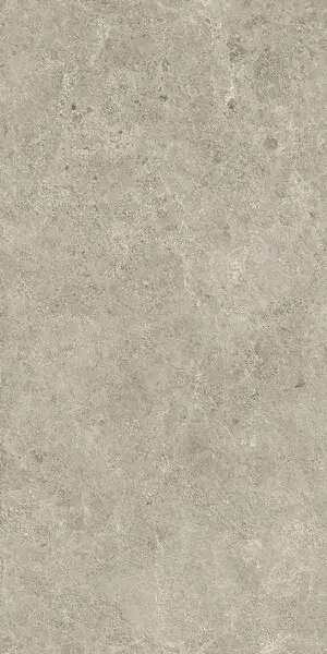 Nyra Mist 60x120 - 20mm