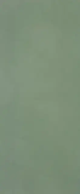 MATERIA BRILLANTE 50X120 BOSCO BRILLANTE