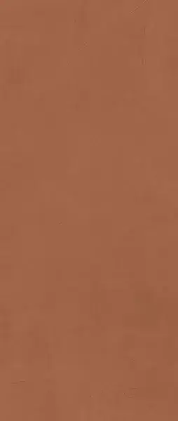 Prism Caramel 50x120