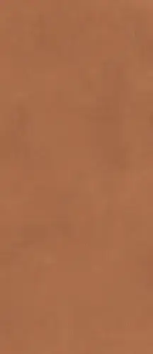 Prism Caramel 120x278