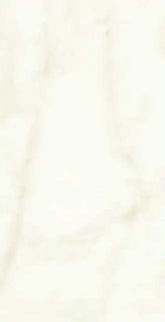 Marvel Calacatta Delicato 40x80 Shiny