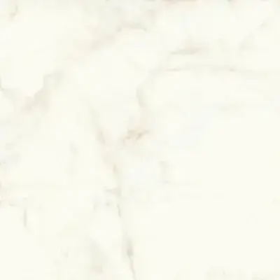 Marvel Calacatta Delicato 120x120 Lappato