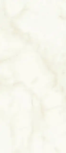 Marvel Calacatta Delicato 50x120 Silk