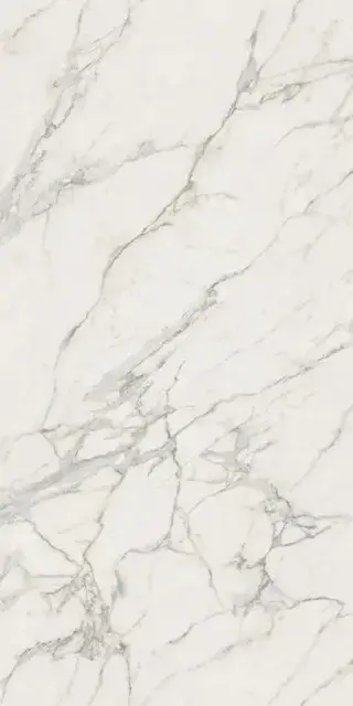 Calacatta Extra Polished 160x320