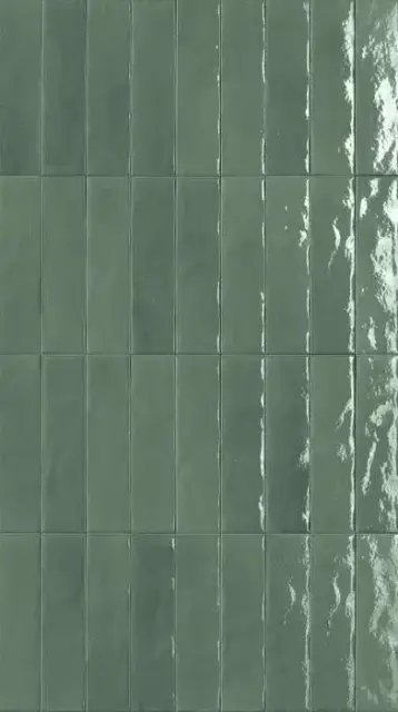 GLIM 6X24 SALVIA BRILLANTE