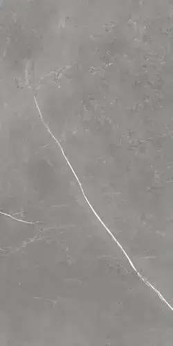 Forte Dei Marmi Elegant Grey Rett 60x120 Cerato