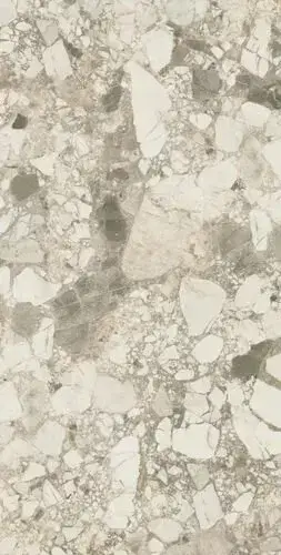 Forte Dei Marmi Ceppo Apuano Cream 80x160 Lapp