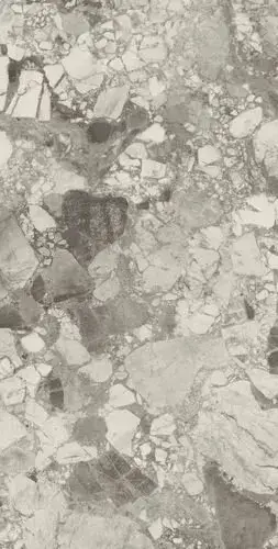 Forte Dei Marmi Ceppo Apuano Pearl 80x160 Lapp