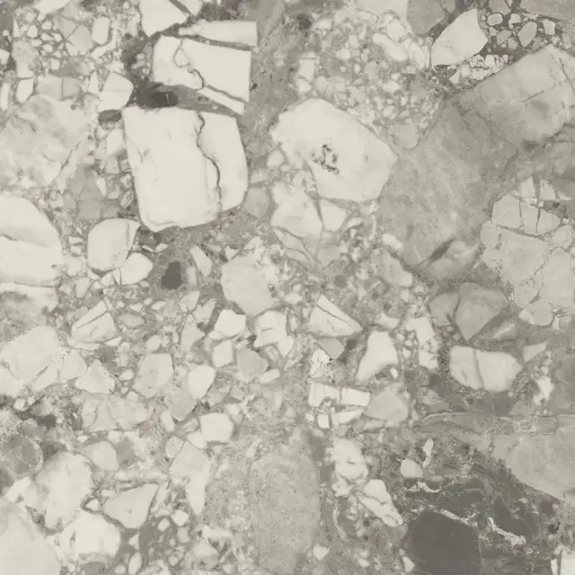 Forte Dei Marmi Ceppo Apuano Pearl Rett 120x120