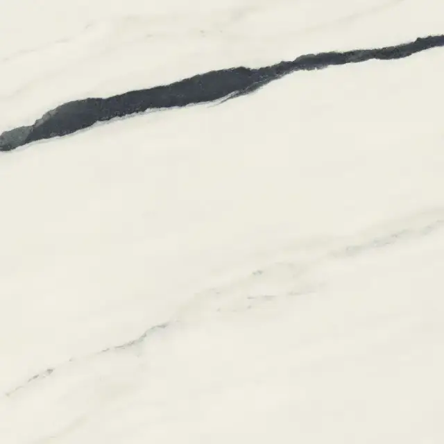 Forte Dei Marmi Panda White Rett 120x120