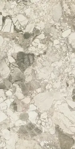 Forte Dei Marmi Ceppo Apuano Cream Rett 80x160