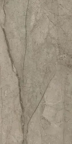 Forte Dei Marmi Mystic Grey 80x160 Lapp