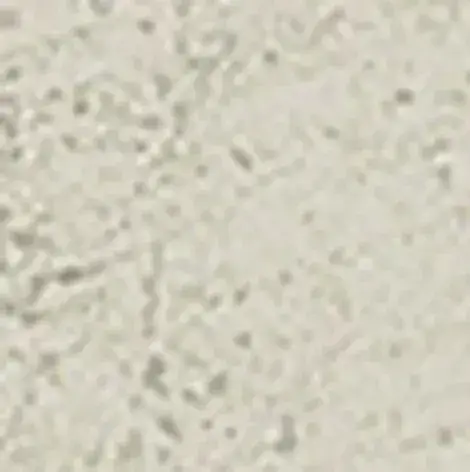 Drift White Bot.7,2x7,2/Дрифт Вайт Вст.7,2x7,2