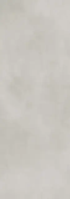 Calce Grigio 100х300 5