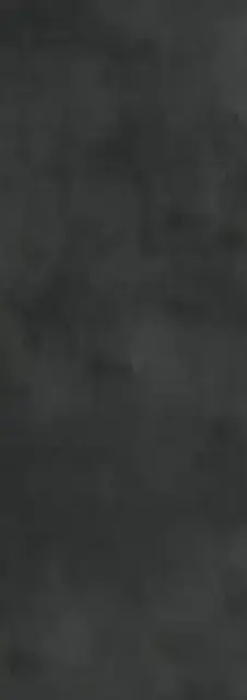 Calce Nero 100х300 3+