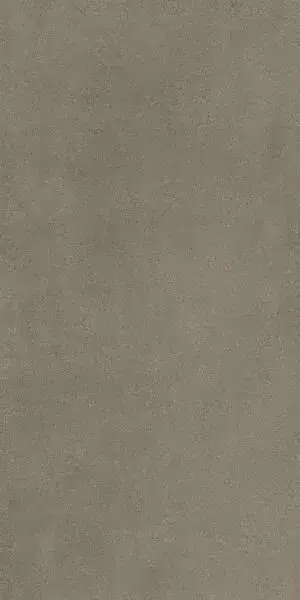 Boost Pro Taupe 60x120 20 mm