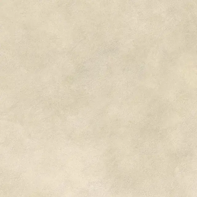 Boost Expression Camel 80x80