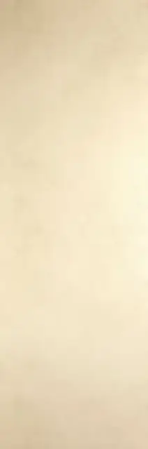 Blend Avorio 100х300 5