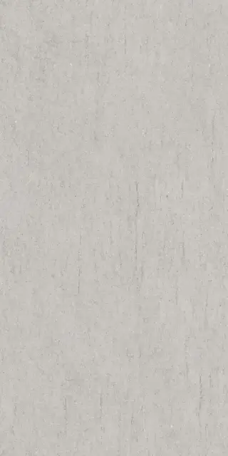 Керамогранит PF60014208 Poetry Stone Reloaded Basaltina Silver Nat Rett 60x120