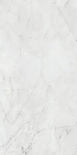 Керамогранит PF60012503 Carrara Lux Ret 60x120