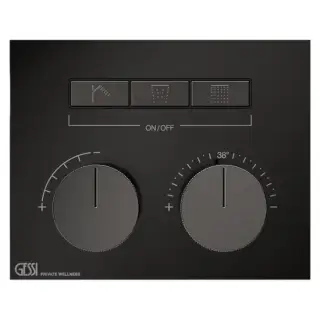 Gessi Hi-Fi Термостат для душа, с включением до 3 источников одновременно, внешняя часть, цвет: Black Metal PVD
