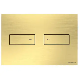 Artceram INOX Смывная клавиша, цвет: золото брашированное PVD