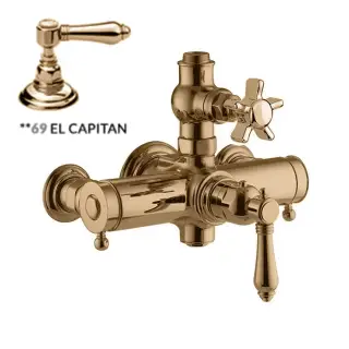 Nicolazzi Termostatico Смеситель для душа, настенный, термостатический, цвет: бронза