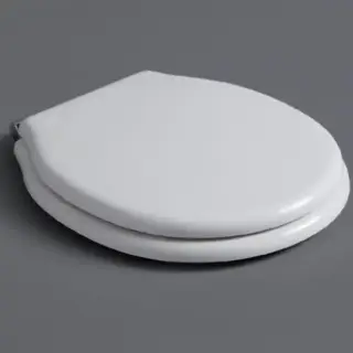 SIMAS Londra Сиденье для напольного унитаза, цвет: белый/хром