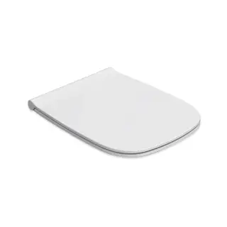 Globo Genesis Сиденье для унитаза GNS02/GN001, быстросъемное, микролифт, цвет: белый матовый/хром