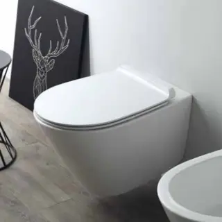 Simas Gambassi Унитаз  подвесной безободковый 56.5х37,5 см, цвет: белый