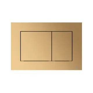 TECEnow Панель смыва унитаза для системы двойного смыва, цвет:Латунь металлик