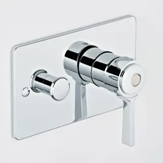 THG CAPUCINE VERT DECOR PLATINE Смеситель для душа встраиваемый, однорычажный, с переключателем, внешняя часть, декор платина, цвет: хром