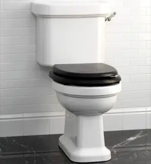 Унитаз Devon&Devon BLUES IBWCBLUES + IBCMBLUES + 2IBSEROSEMOGCR + IBBATTBLU + IB1042C цв.белый