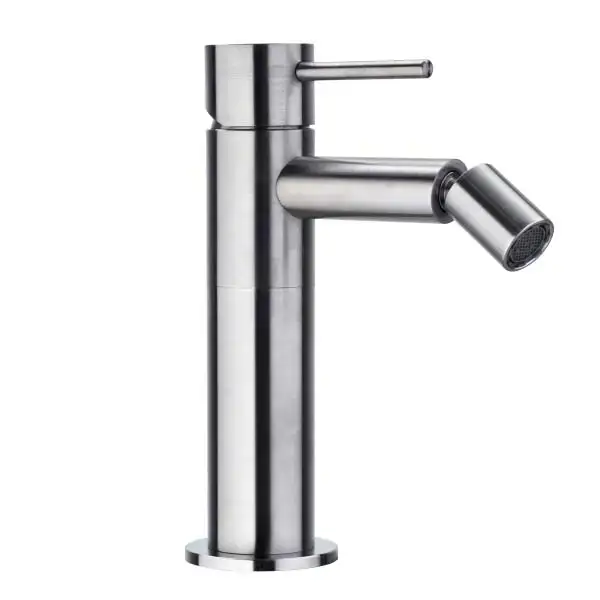 Bossini Inox Однорычажный Смеситель для биде на 1 отв., из нержавеющей стали без донного клапана, цвет: глянцевая сталь